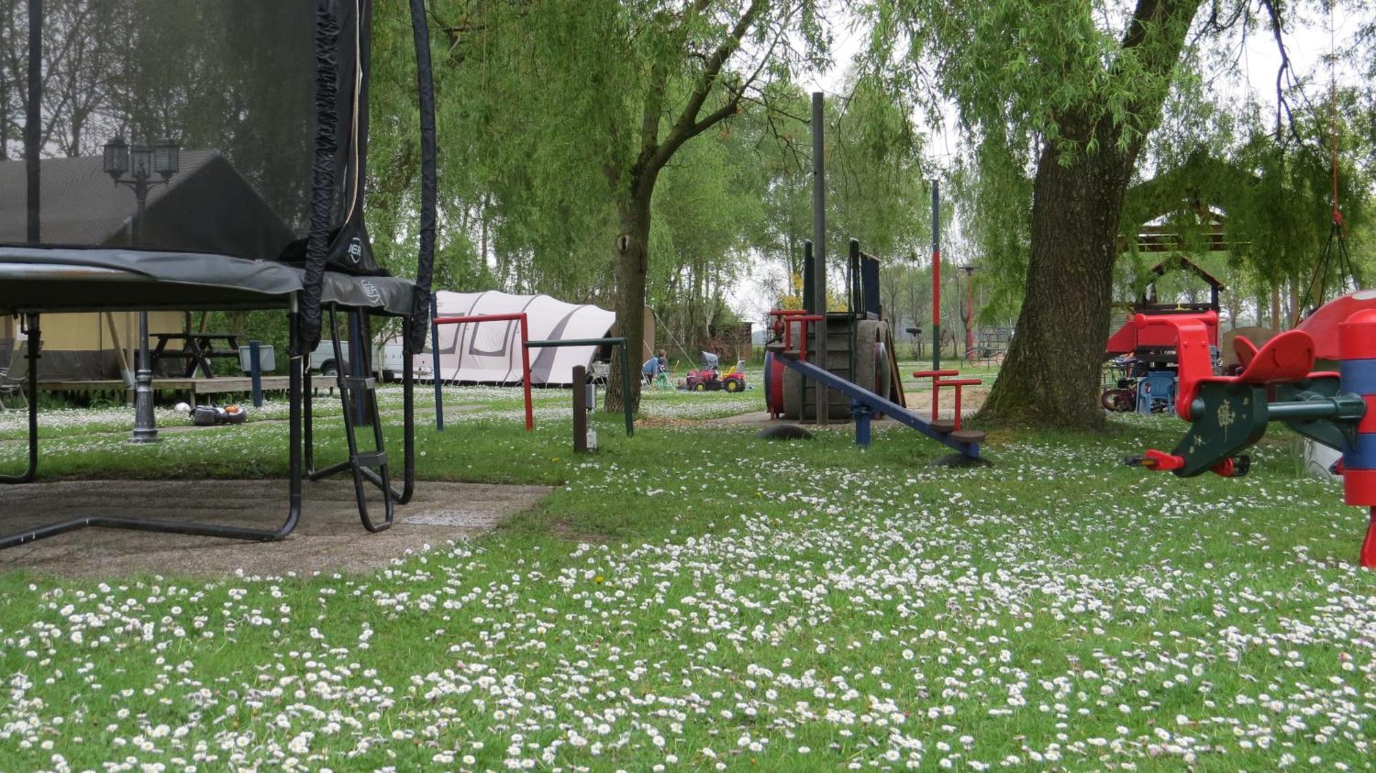 Hoeveheikant Lage Mierde Dış mekan fotoğraf